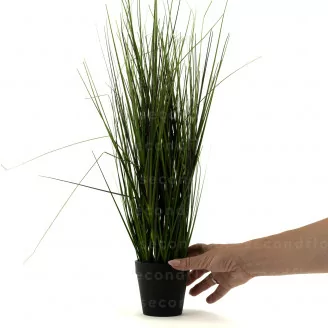 Erba Graminacea artificiale in vaso