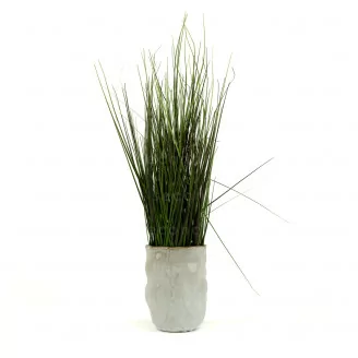 Erba Graminacea artificiale in vaso