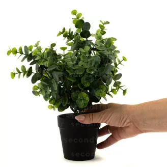 Eucalipto artificiale in vaso