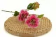 Dalia artificial 2