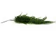 Felce Adiantum artificiale Ricadente - Ignifuga 3
