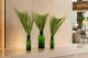 Feuille d'Areca stabilis&eacute;e - 3 Unit&eacute;s - Vert 1