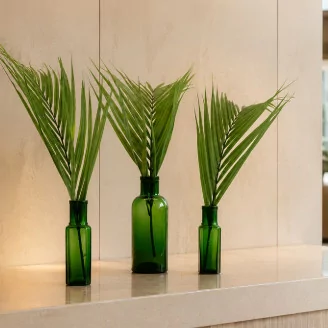 Foglia di Areca stabilizzata - 3 Unit&agrave; - Verde