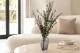 Eucalyptus Baby-blue Preserved - Green 1