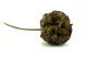 Artificial XXL Scabiosa 2