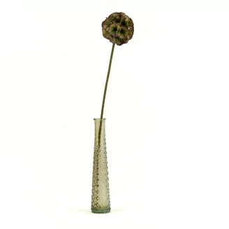Scabiosa XXL artificiel