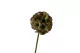 Scabiosa gigante artificiale 6