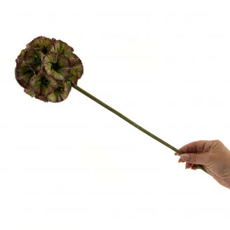 Scabiosa g&eacute;ant artificiel
