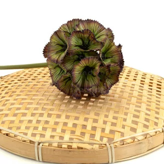 Scabiosa XXL artificial