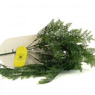 Artificial Hanging Thuya - Fire Retardant