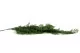 Artificial Hanging Thuya - Fire-Retardant 3