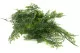 K&uuml;nstlicher Thuja-H&auml;nger - feuerbest&auml;ndig 5
