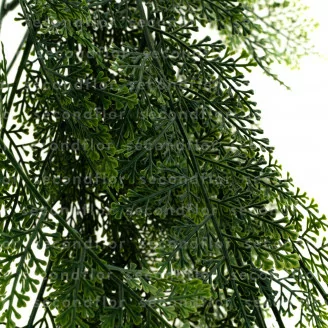 Colgante de Thuya artificial - Ign&iacute;fuga