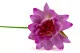 Flor de Loto artificial 2