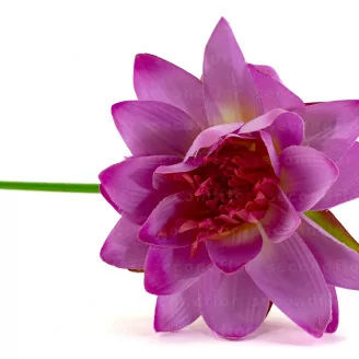 K&uuml;nstliche Lotusblume
