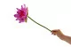 Flor de Loto artificial 4