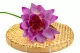 Fiore di Loto artificiale 5