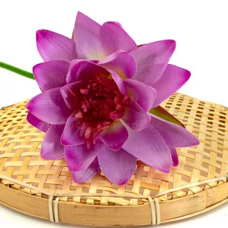 Flor de Loto artificial