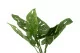 K&uuml;nstliche Monstera im Topf 2