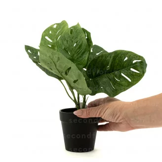 Monstera artificiale in vaso