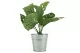 Monstera artificiale in vaso 4