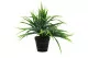 Pianta erbacea artificiale in vaso 5