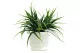 Artificial Herbaceous plant in pot 4