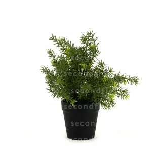 Artificial Asparagus in pot