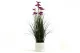 Graminacea artificiale fiorita in vaso 5