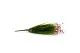 Flowering artificial grass 3