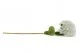 XXL White Artificial Hydrangea 3