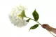 Hortensia XXL artificiel Blanc 4