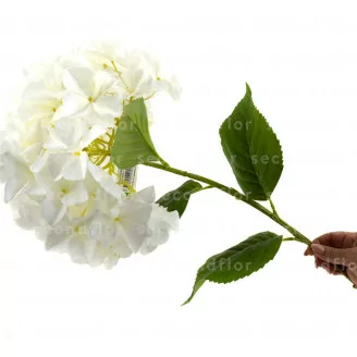 K&uuml;nstliche XXL Hortensie Wei&szlig;