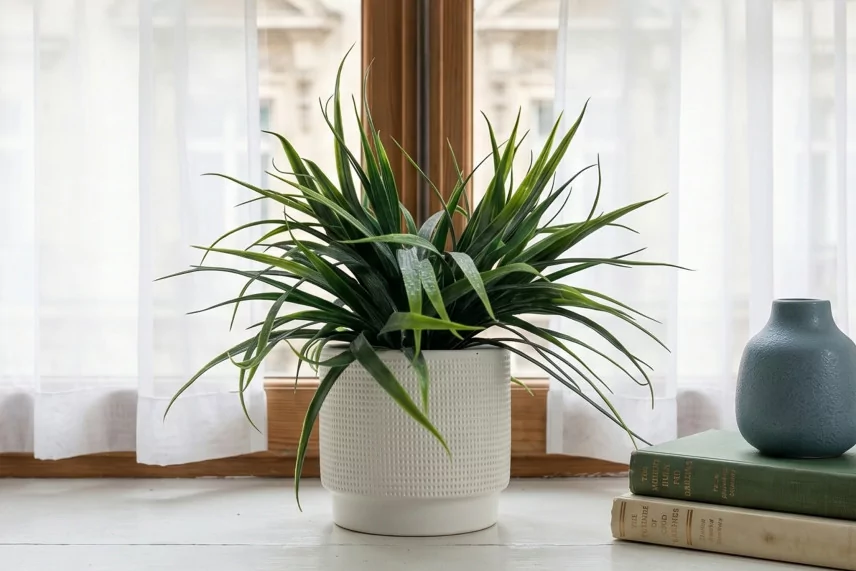 Pianta erbacea artificiale in vaso
