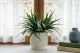 Plante herbac&eacute;e artificielle en pot 1