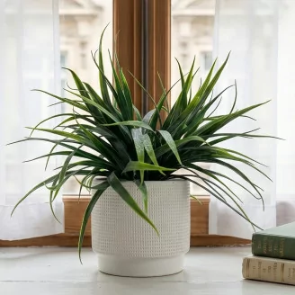 Plante herbac&eacute;e artificielle en pot
