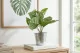 Artificial Monstera in pot 1