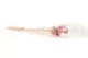 Craspedia stabilizzata - Mazzo - Pink Flamingo 10