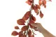Ghirlanda di Faggio artificiale Rossa e Arancione 4