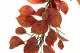 Ghirlanda di Faggio artificiale Rossa e Arancione 2