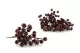 Artificial Burgundy Berries (x6) 5