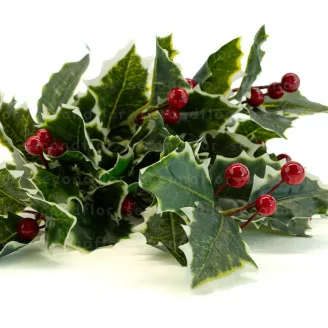 Artificial Holly