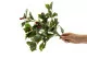 Artificial Holly 3