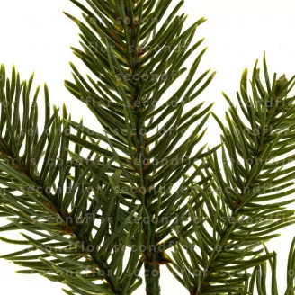 Artificial Pine Sprigs on Pick (x6)
