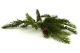 Branche de Pin artificielle avec pommes de pin 5