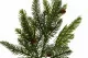Artificial Pine Spray with Pine Cones 6