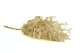 Artificial mini Cream Virginia creeper 5