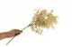 Artificial mini Cream Virginia creeper 3