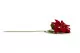 Artificial Poinsettia Red 4