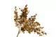 Gold artificial Eucalyptus 6